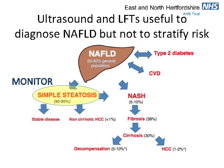 Ultrasound and LFTs useful to diagnose NAFLD but not to stratify risk MONITOR 