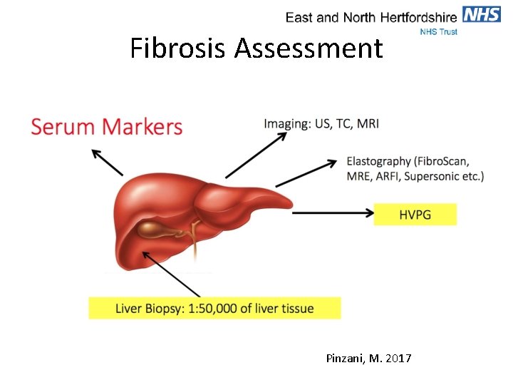 Fibrosis Assessment Pinzani, M. 2017 