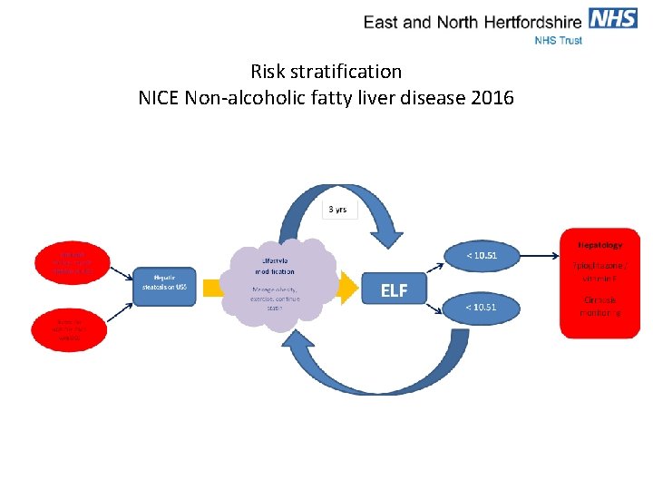 Risk stratification NICE Non-alcoholic fatty liver disease 2016 