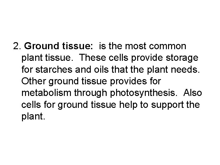2. Ground tissue: is the most common plant tissue. These cells provide storage for