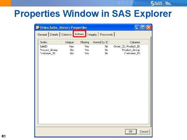 Properties Window in SAS Explorer 61 