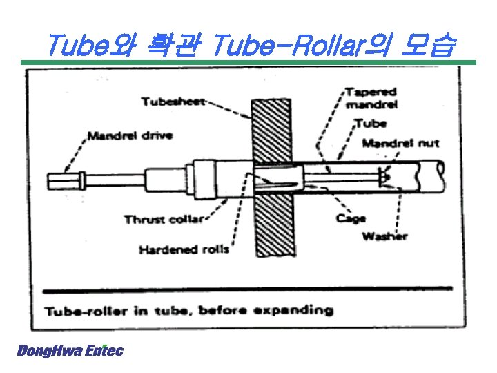 Tube와 확관 Tube-Rollar의 모습 