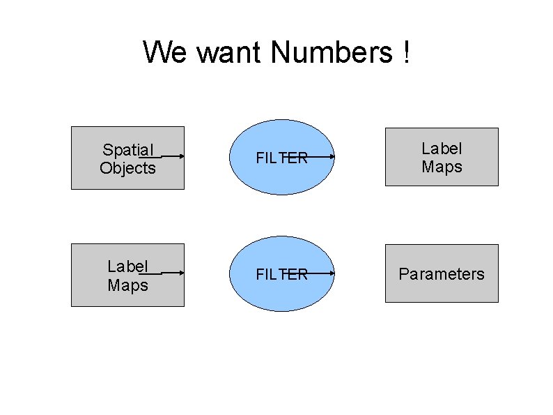 We want Numbers ! Spatial Objects FILTER Label Maps FILTER Parameters 