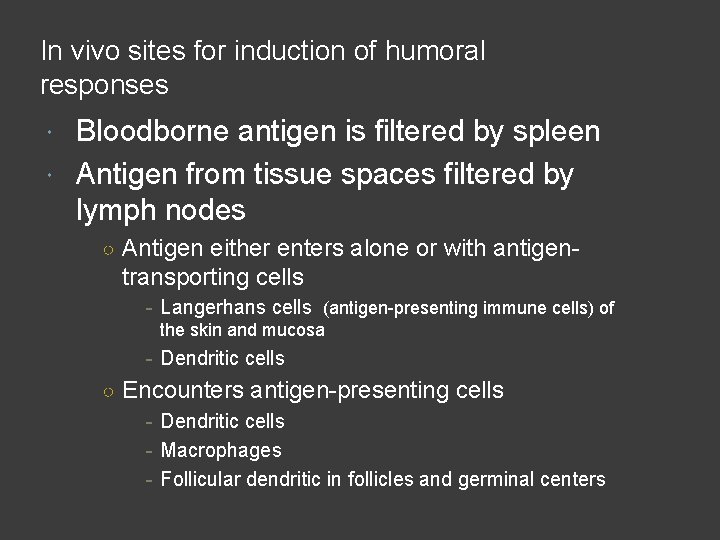 In vivo sites for induction of humoral responses Bloodborne antigen is filtered by spleen