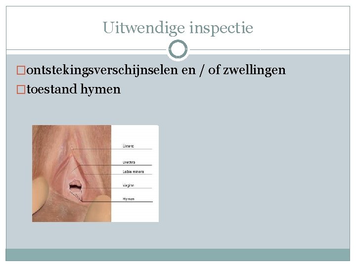 Uitwendige inspectie �ontstekingsverschijnselen en / of zwellingen �toestand hymen 