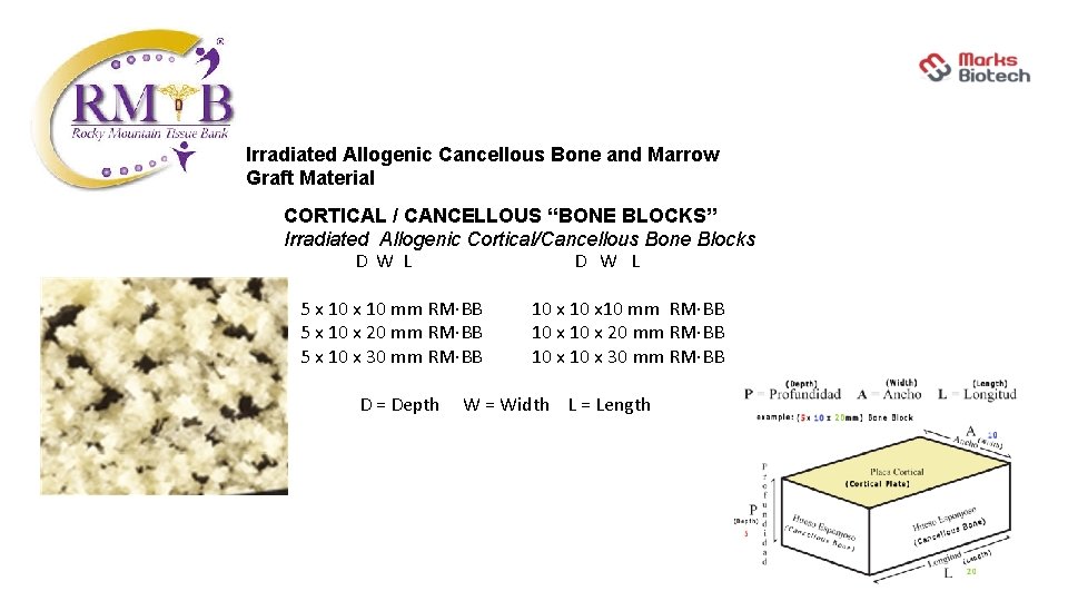 Irradiated Allogenic Cancellous Bone and Marrow Graft Material CORTICAL / CANCELLOUS “BONE BLOCKS” Irradiated