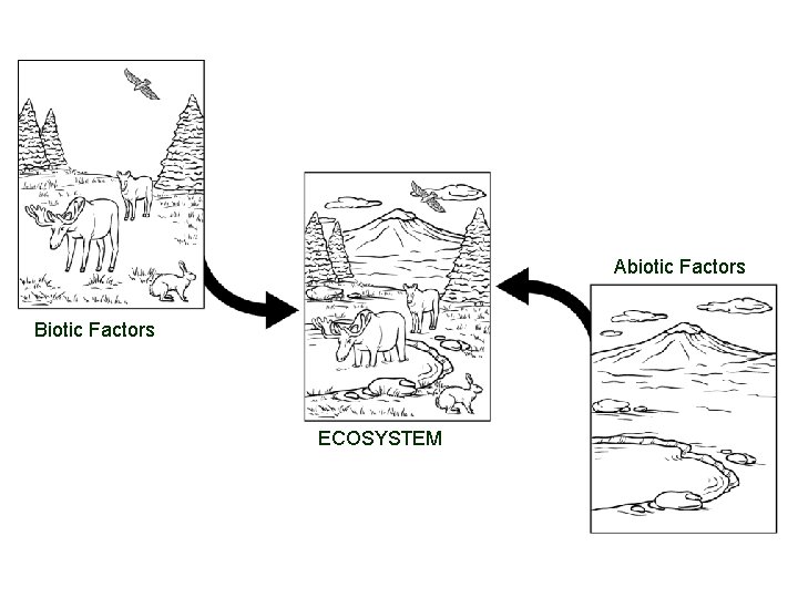 Abiotic Factors Biotic Factors ECOSYSTEM 