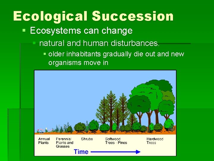 Ecological Succession § Ecosystems can change § natural and human disturbances. § older inhabitants