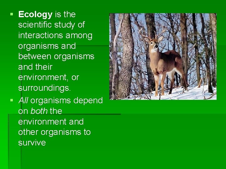 § Ecology is the scientific study of interactions among organisms and between organisms and