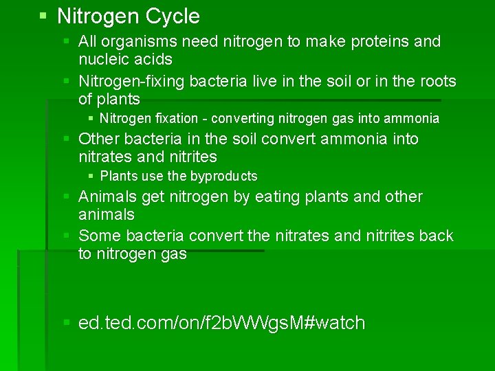 § Nitrogen Cycle § All organisms need nitrogen to make proteins and nucleic acids