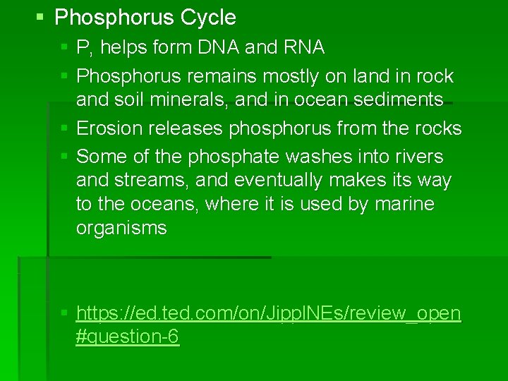§ Phosphorus Cycle § P, helps form DNA and RNA § Phosphorus remains mostly