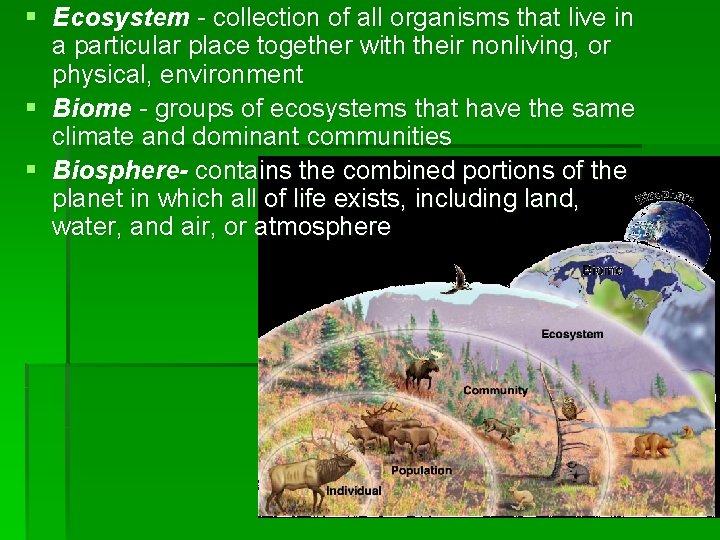 § Ecosystem - collection of all organisms that live in a particular place together