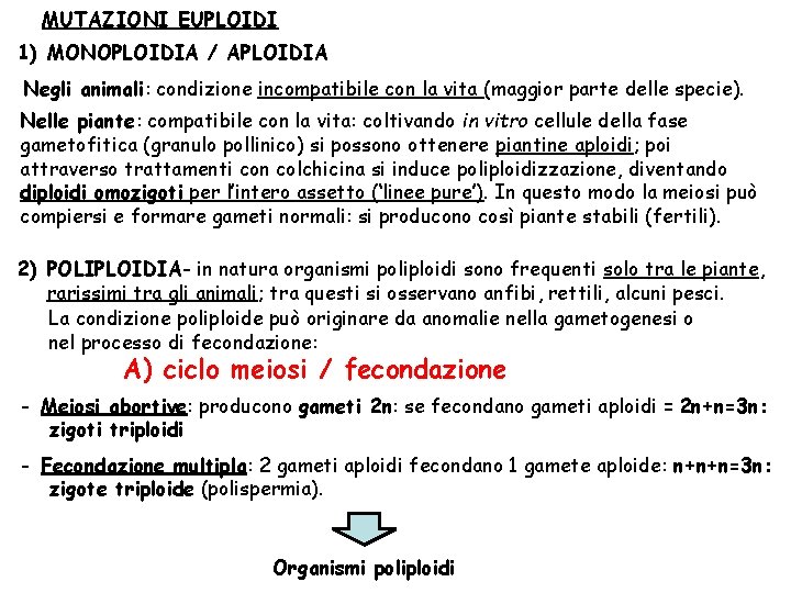 MUTAZIONI EUPLOIDI 1) MONOPLOIDIA / APLOIDIA Negli animali: condizione incompatibile con la vita (maggior