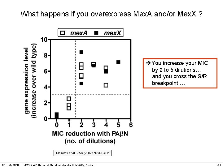 What happens if you overexpress Mex. A and/or Mex. X ? You increase your