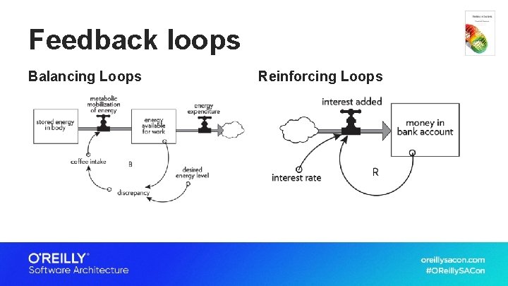 Feedback loops Balancing Loops Reinforcing Loops 