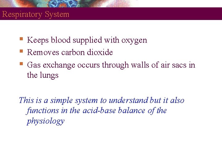 Respiratory System Keeps blood supplied with oxygen Removes carbon dioxide Gas exchange occurs through