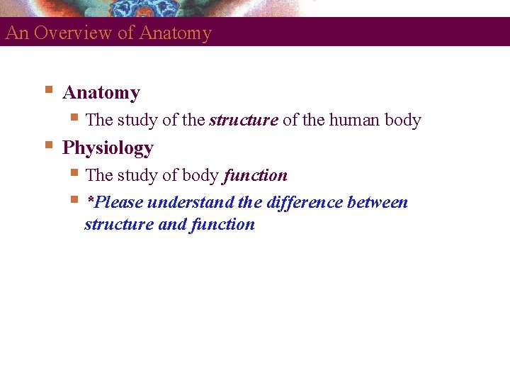 An Overview of Anatomy The study of the structure of the human body Physiology