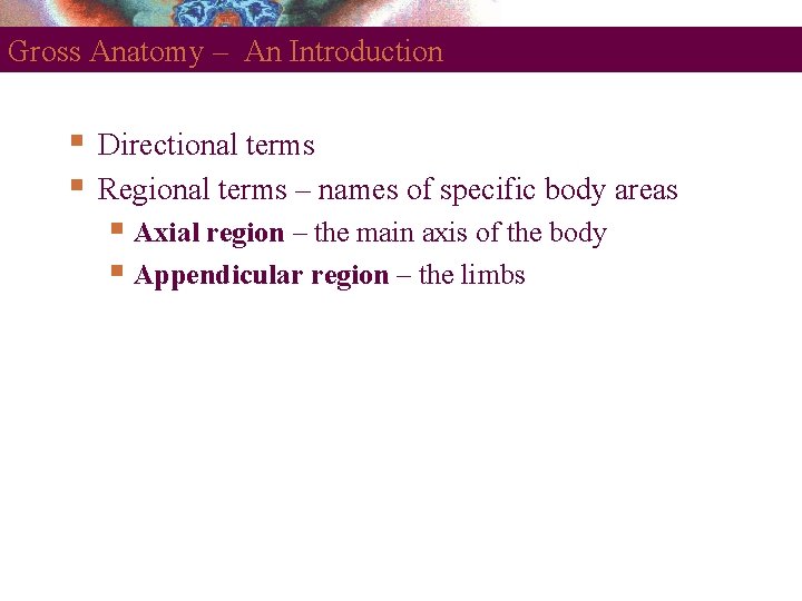 Gross Anatomy – An Introduction Directional terms Regional terms – names of specific body