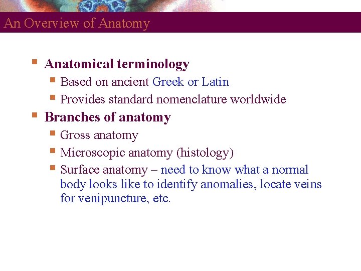 An Overview of Anatomy Anatomical terminology Branches of anatomy Based on ancient Greek or