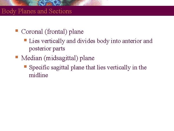 Body Planes and Sections Coronal (frontal) plane Lies vertically and divides body into anterior