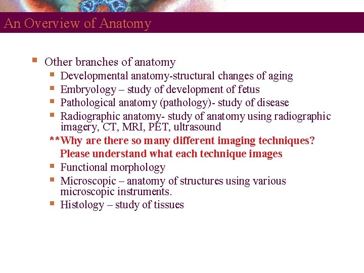 An Overview of Anatomy Other branches of anatomy Developmental anatomy-structural changes of aging Embryology