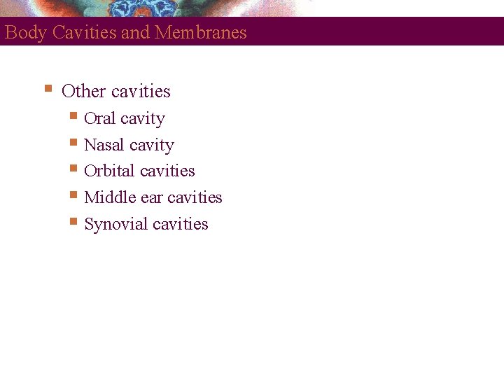 Body Cavities and Membranes Other cavities Oral cavity Nasal cavity Orbital cavities Middle ear