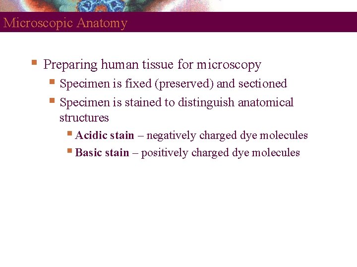 Microscopic Anatomy Preparing human tissue for microscopy Specimen is fixed (preserved) and sectioned Specimen