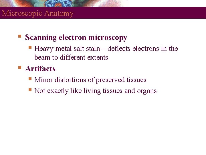 Microscopic Anatomy Scanning electron microscopy Heavy metal salt stain – deflects electrons in the