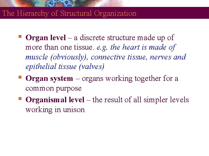 The Hierarchy of Structural Organization Organ level – a discrete structure made up of