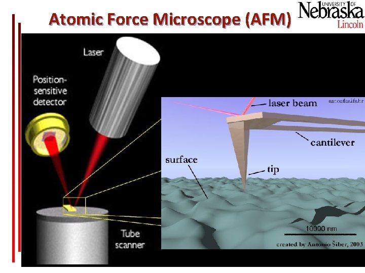 Atomic Force Microscope (AFM) 