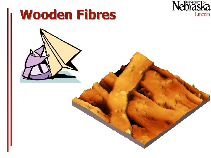 Wooden Fibres www. dme-spm. dk 