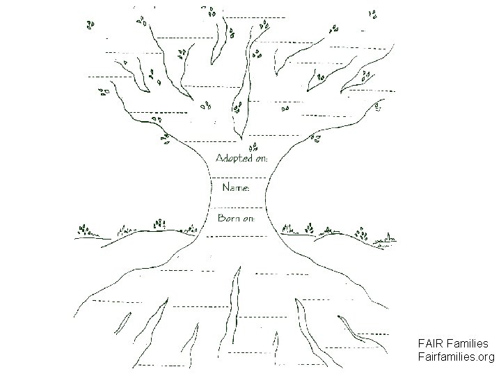 FAIR Families Fairfamilies. org 