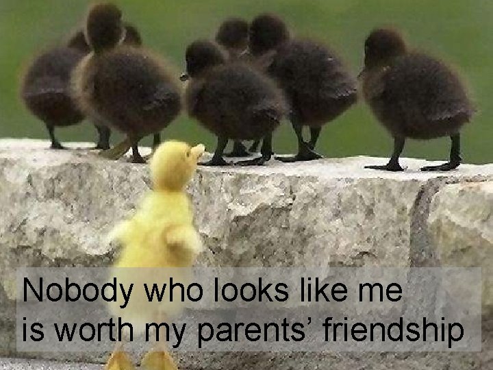 No one who looks like me is worth my parents’ friendship Nobody who looks