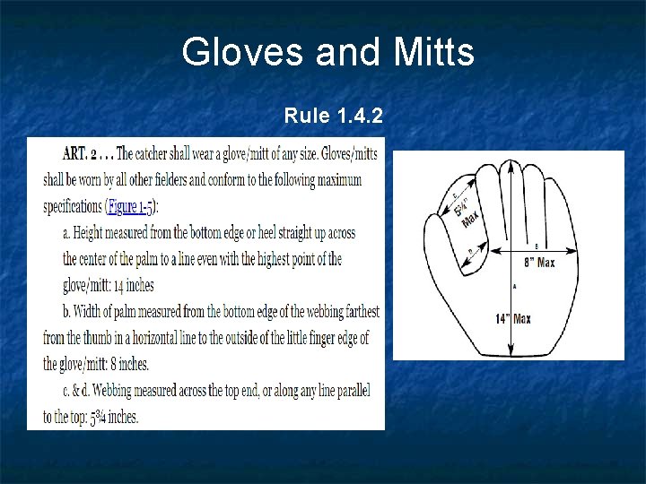 Gloves and Mitts Rule 1. 4. 2 