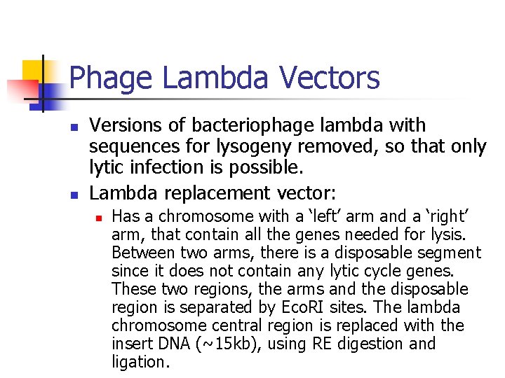 Phage Lambda Vectors n n Versions of bacteriophage lambda with sequences for lysogeny removed,