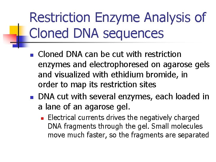 Restriction Enzyme Analysis of Cloned DNA sequences n n Cloned DNA can be cut