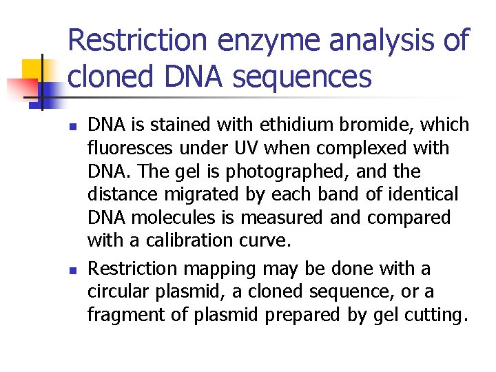 Restriction enzyme analysis of cloned DNA sequences n n DNA is stained with ethidium