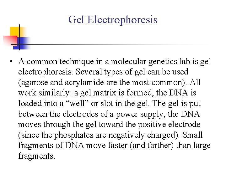 Gel Electrophoresis • A common technique in a molecular genetics lab is gel electrophoresis.