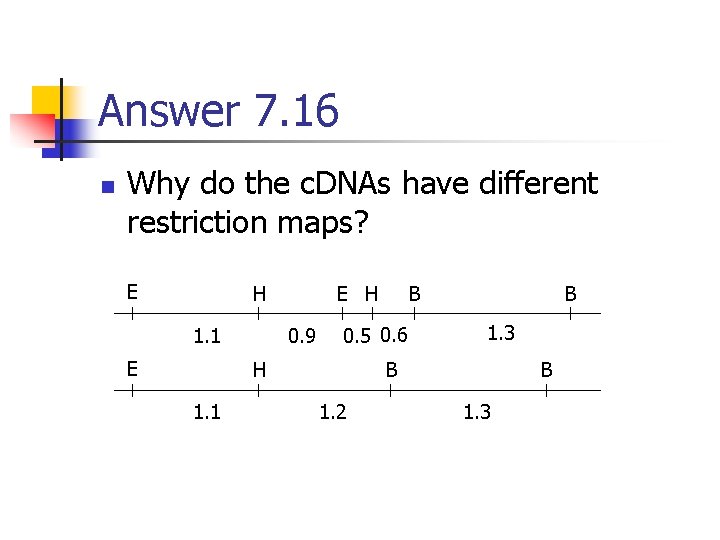 Answer 7. 16 n Why do the c. DNAs have different restriction maps? E