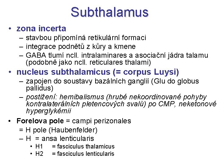Subthalamus • zona incerta – stavbou připomíná retikulární formaci – integrace podnětů z kůry