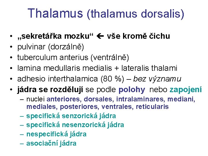 Thalamus (thalamus dorsalis) • • • „sekretářka mozku“ vše kromě čichu pulvinar (dorzálně) tuberculum