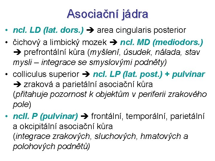 Asociační jádra • ncl. LD (lat. dors. ) area cingularis posterior • čichový a