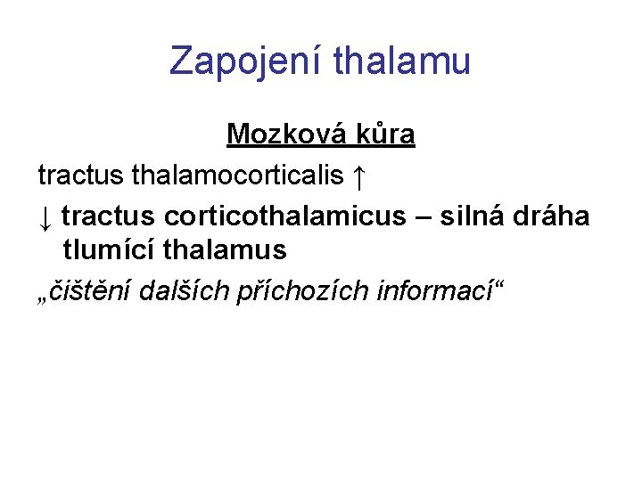 Zapojení thalamu Mozková kůra tractus thalamocorticalis ↑ ↓ tractus corticothalamicus – silná dráha tlumící