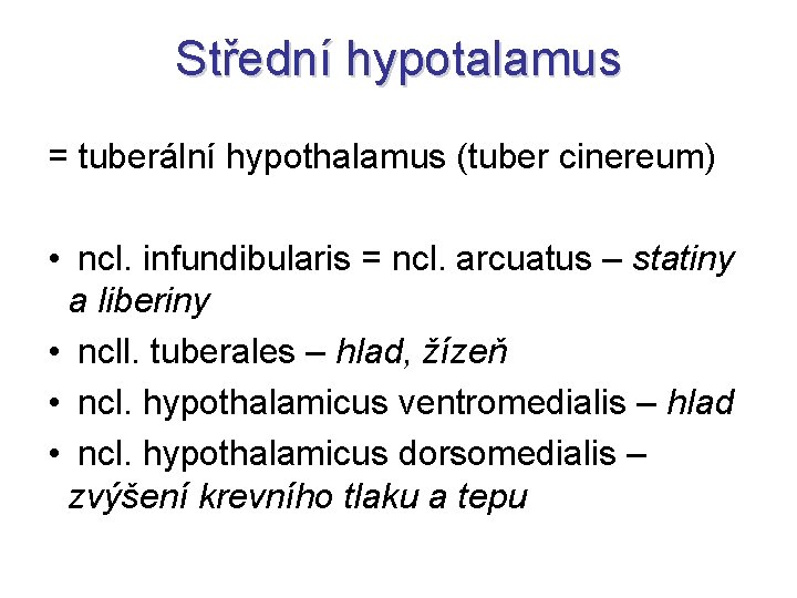 Střední hypotalamus = tuberální hypothalamus (tuber cinereum) • ncl. infundibularis = ncl. arcuatus –