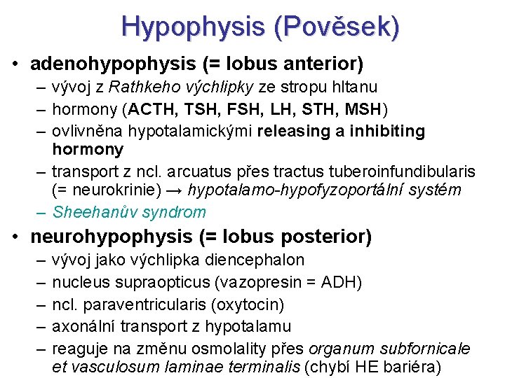 Hypophysis (Pověsek) • adenohypophysis (= lobus anterior) – vývoj z Rathkeho výchlipky ze stropu