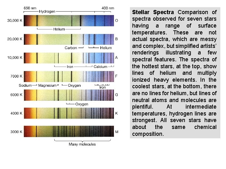 Stellar Spectra Comparison of spectra observed for seven stars having a range of surface