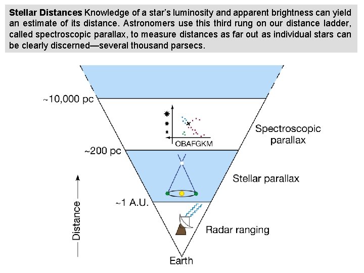 Stellar Distances Knowledge of a star’s luminosity and apparent brightness can yield an estimate