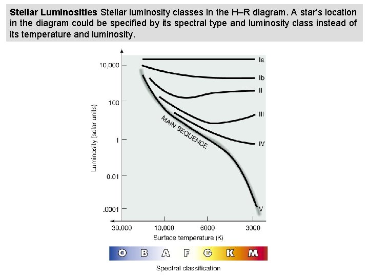 Stellar Luminosities Stellar luminosity classes in the H–R diagram. A star’s location in the