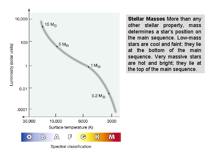 Stellar Masses More than any other stellar property, mass determines a star’s position on
