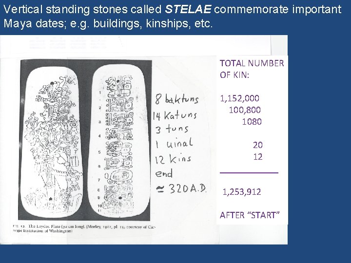 Vertical standing stones called STELAE commemorate important Maya dates; e. g. buildings, kinships, etc.